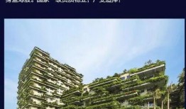 中山碧桂园爆料最新消息,揭秘项目进展与未来规划