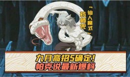 九月高招s小樱最新爆料,小樱独家爆料，揭秘热门明星幕后故事