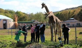 10月神奇动物爆料最新,神秘生物齐聚，奇幻世界再掀波澜